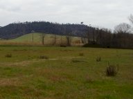 vendita terreno agricolo San Miniato