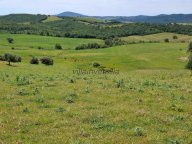 vendita terreno agricolo Manciano