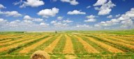 vendita terreno agricolo Casciana Terme Lari