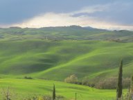 vendita terreno residenziale Terricciola