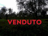 vendita terreno agricolo Casciana Terme Lari