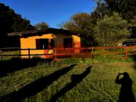 vendita terreno agricolo Livorno