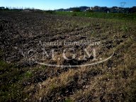 vendita terreno agricolo Santa Maria a Monte
