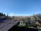 vendita terreno agricolo Pietrasanta