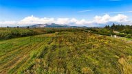 vendita terreno agricolo Piombino