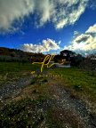 vendita terreno agricolo Castellina Marittima