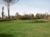 vendita terreno agricolo Cerreto Guidi
