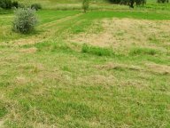 vendita terreno agricolo San Miniato
