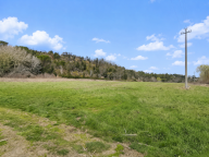 vendita terreno agricolo Palaia