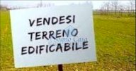 vendita terreno residenziale Luni