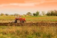 vendita terreno agricolo Luni