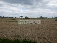vendita terreno agricolo Cascina