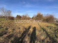 vendita terreno agricolo Capannori