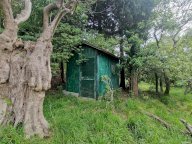 vendita terreno agricolo Luni