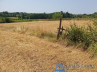 vendita terreno agricolo Lamporecchio