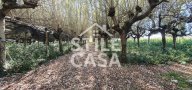vendita terreno agricolo Capannori