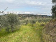 vendita terreno agricolo Empoli