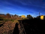 vendita terreno agricolo Capannori