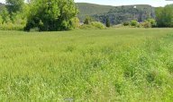 vendita terreno agricolo Vecchiano