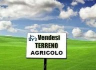 vendita terreno agricolo San Giuliano Terme