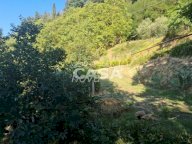 vendita terreno agricolo Castelfranco di Sotto