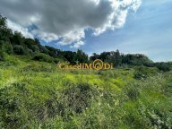 vendita terreno agricolo Fauglia