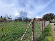 vendita terreno agricolo Grosseto