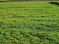 vendita terreno agricolo San Miniato