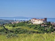 vendita terreno residenziale Rosignano Marittimo