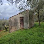 vendita terreno residenziale Arcola