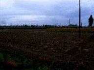 vendita terreno residenziale San Miniato