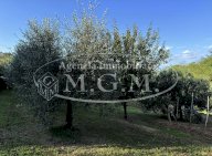 vendita terreno agricolo Santa Maria a Monte