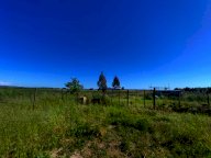 vendita terreno agricolo Grosseto