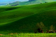 vendita terreno agricolo Lajatico