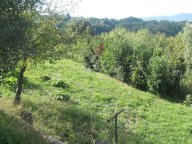 vendita terreno agricolo Sarzana