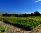 vendita terreno residenziale Montopoli in Val d'Arno
