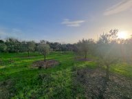 vendita terreno agricolo Santa Maria a Monte