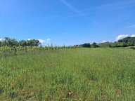 vendita terreno agricolo Capannoli