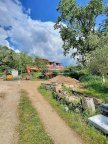 vendita terreno agricolo Carrara