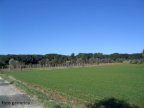 vendita terreno residenziale Pontedera