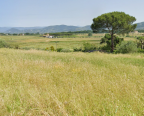 vendita terreno residenziale Lamporecchio