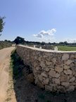 vendita terreno agricolo Lecce
