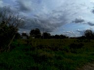 vendita terreno agricolo Ponsacco