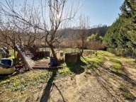vendita terreno agricolo San Miniato