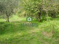 vendita terreno residenziale Massa e Cozzile