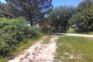vendita terreno agricolo Colle di Val d'Elsa