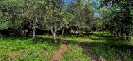 vendita terreno agricolo Cascina