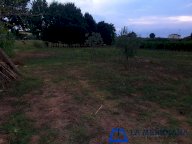 vendita terreno agricolo Larciano