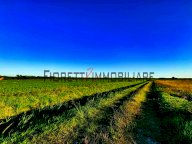 vendita terreno agricolo Castiglione della Pescaia