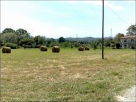vendita terreno agricolo Sarzana
